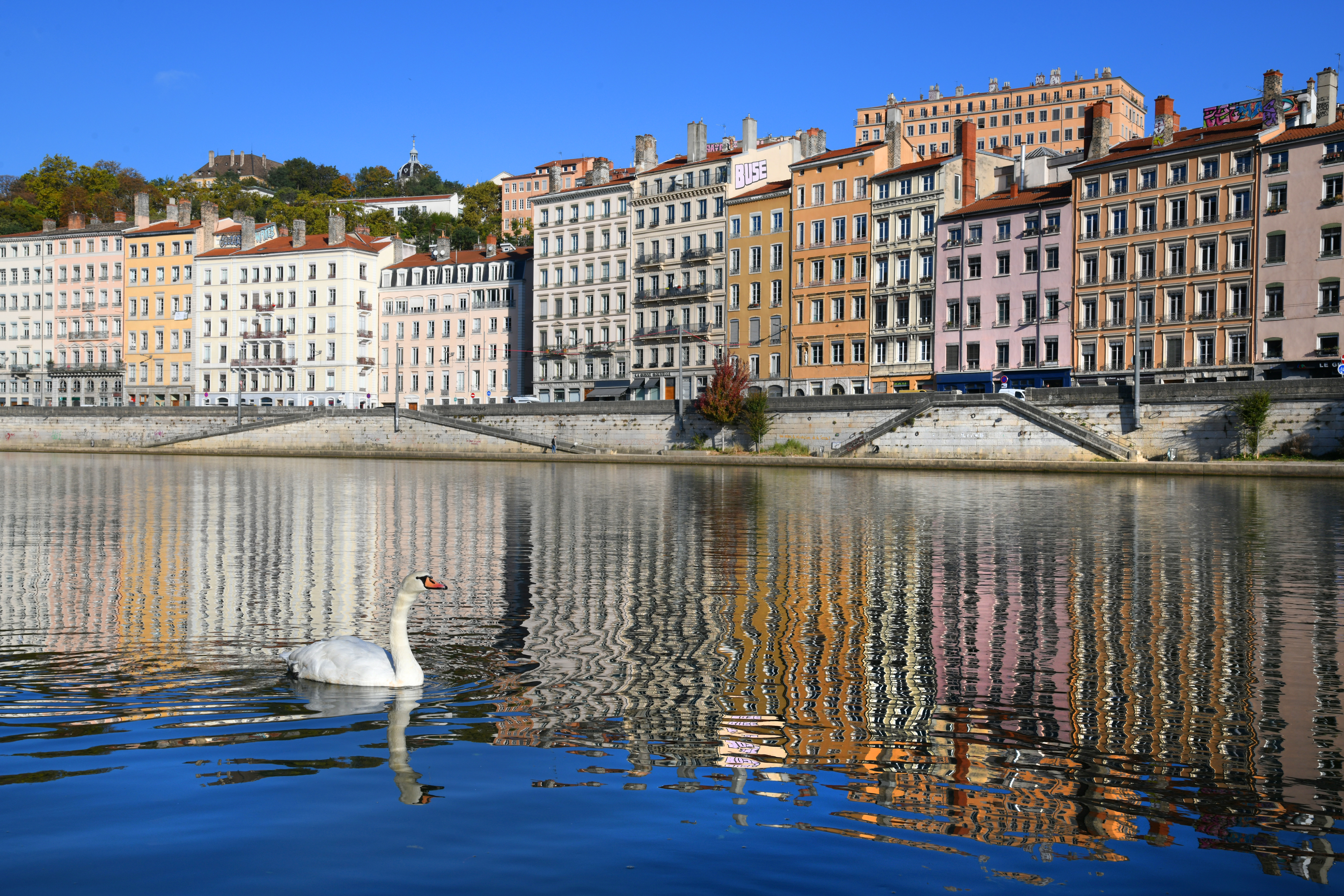 Façades quais de Saône